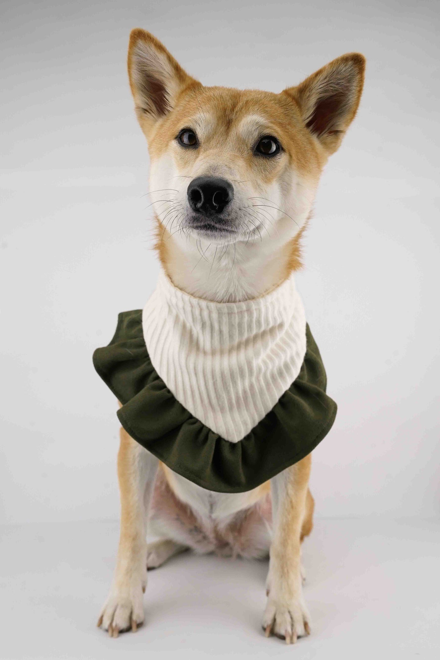 Pine - Bandana