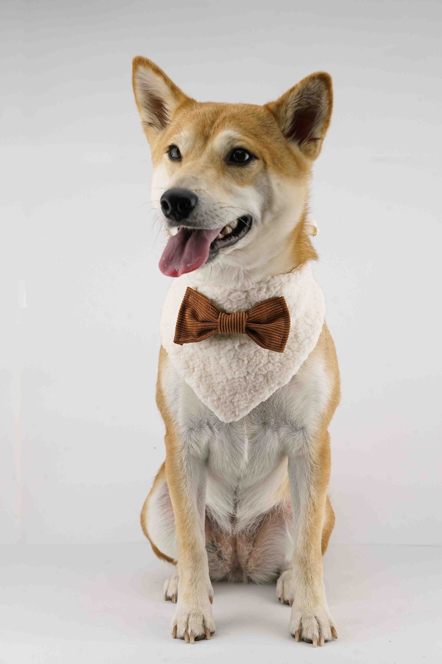 Ginger - Bandana